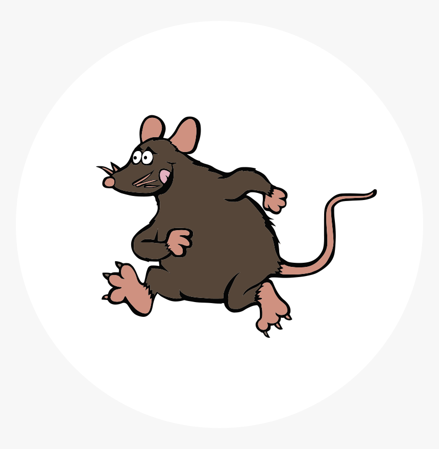 Rat Control Icon - Kangaroo Rat, HD Png Download