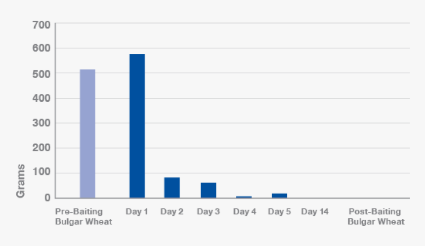 Number, HD Png Download