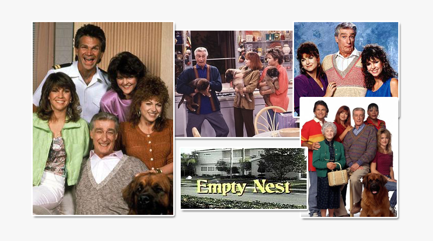 Collage, HD Png Download