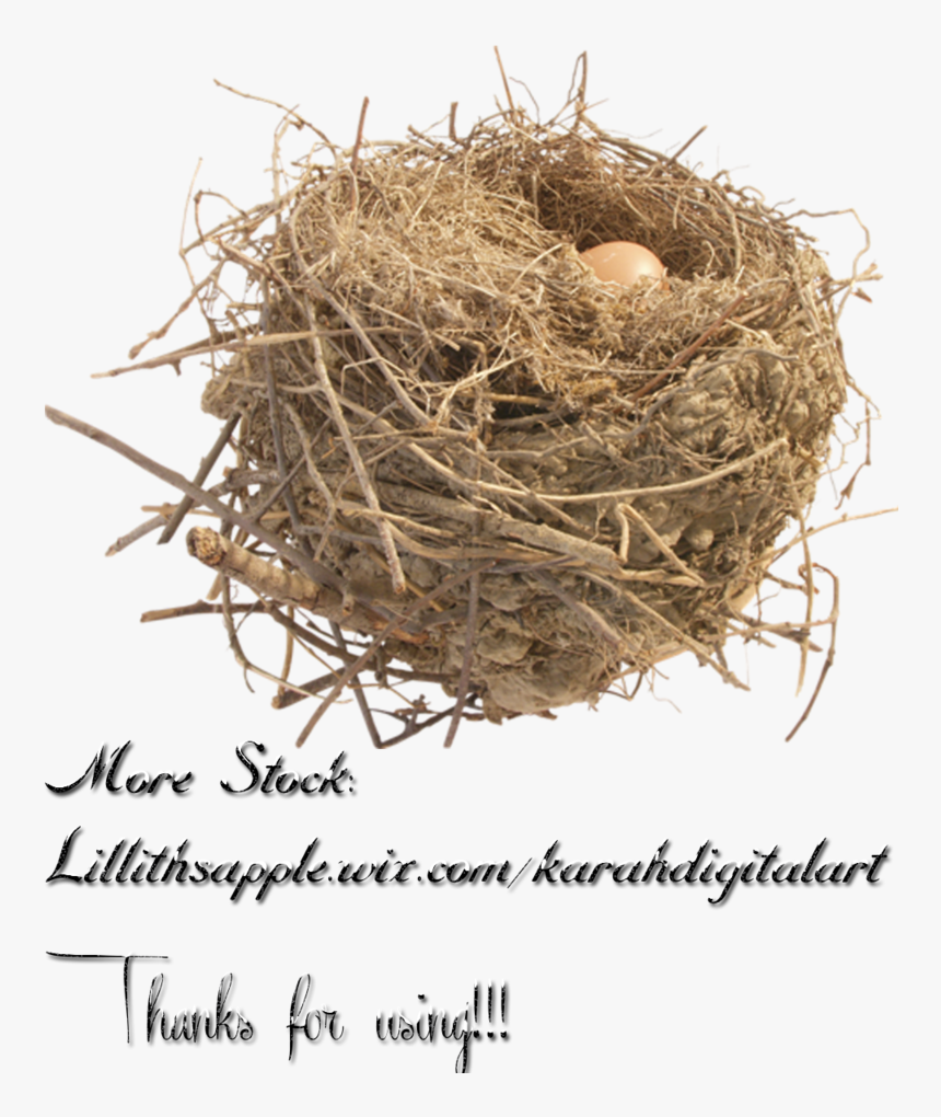 Free Png Image Clipart - Portable Network Graphics, Transparent Png