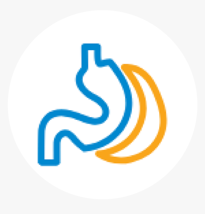 Circle, HD Png Download