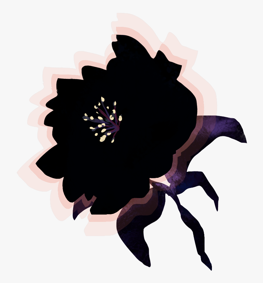 African Daisy, HD Png Download