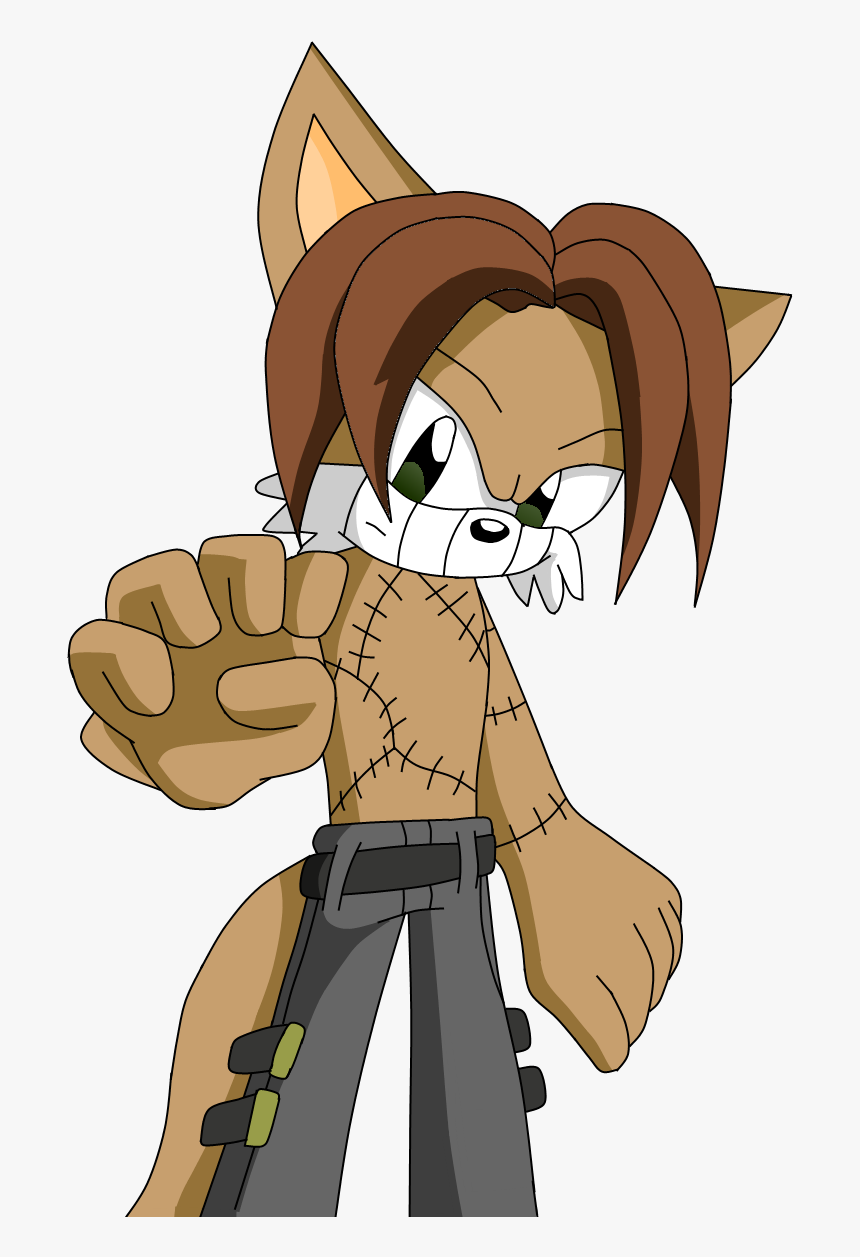 Sonic Fanon Wiki - Cartoon, HD Png Download