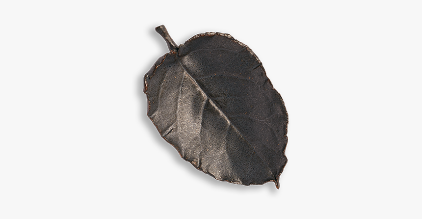 Twig, HD Png Download