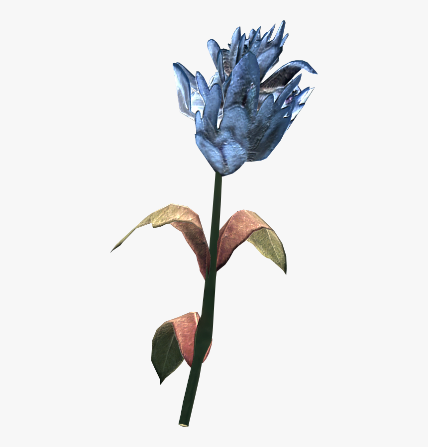 Skyrim Flower, HD Png Download