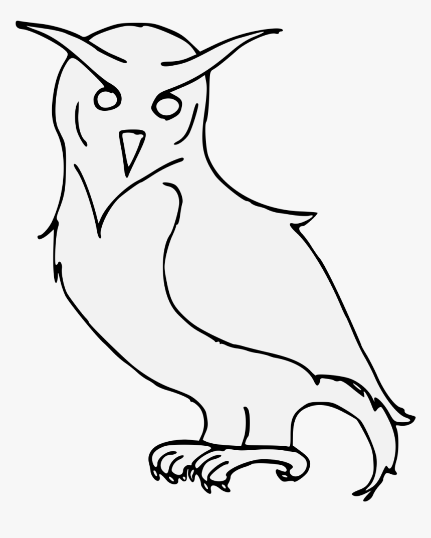 Owl, HD Png Download