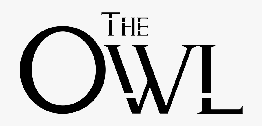 Theowl Finallogo Small - Graphics, HD Png Download