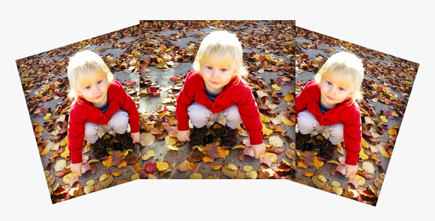 Duplicated Photo Of Small Child Scooping Up Fallen - Play, HD Png Download