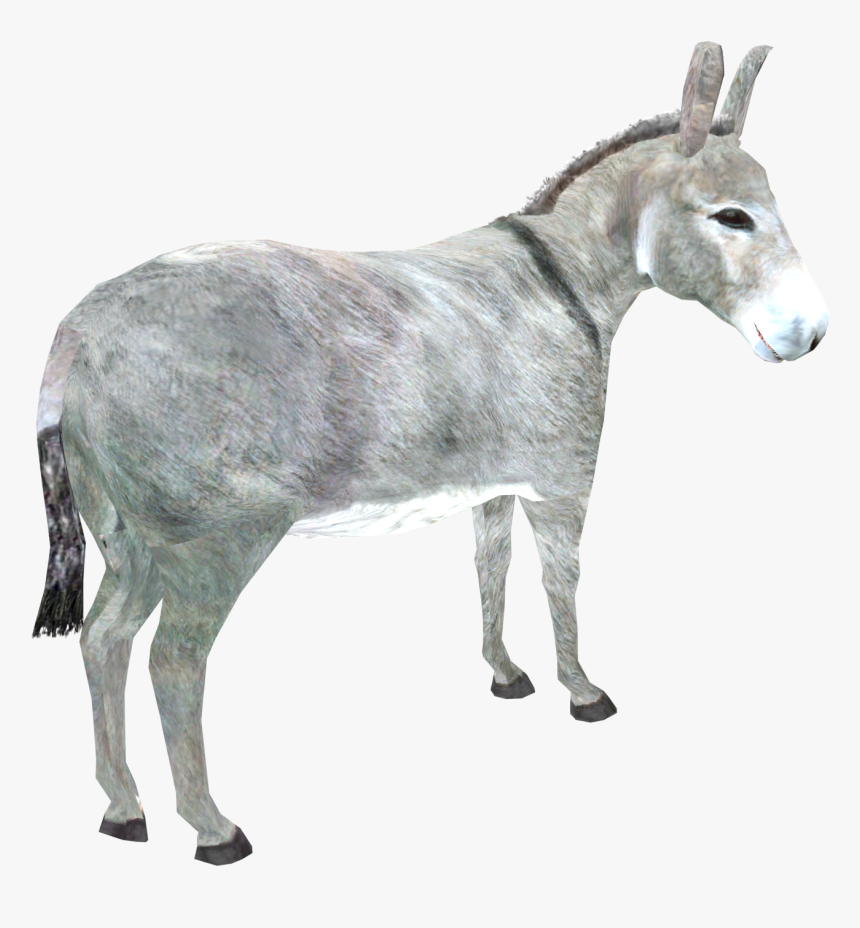 Brazil S Ban On Donkey Slaughter Halts Trade With China - Png Donkey, Transparent Png