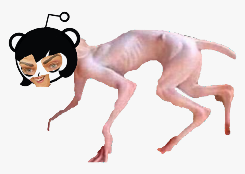 Cartoon, HD Png Download