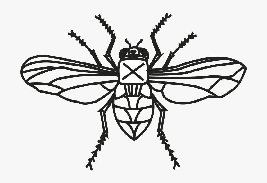 Transparent Mosca Png - Bee, Png Download