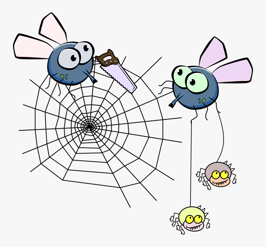 Spider Web Clip Art, HD Png Download