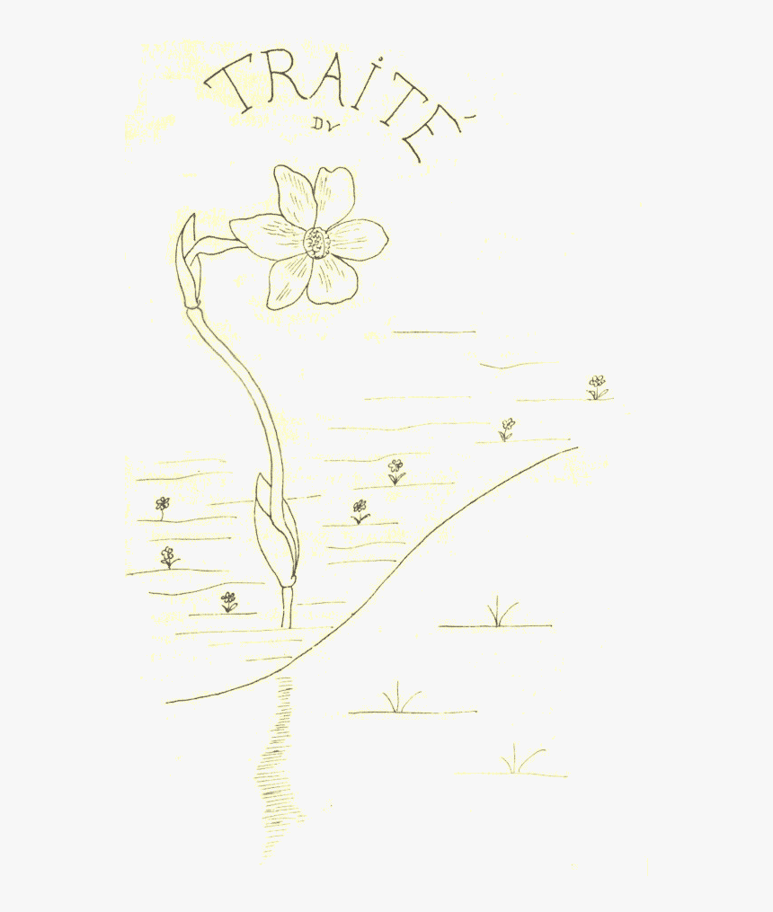 Illustration, HD Png Download