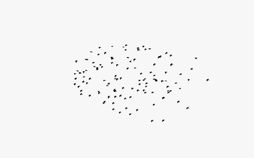 Bird Png Collection By Royal Rajput Like Page On Fb - Bird, Transparent Png