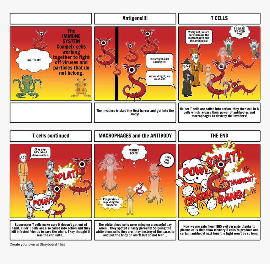 Storyboard Of The Immune System, HD Png Download