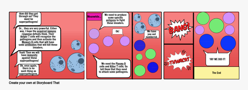 Circle, HD Png Download