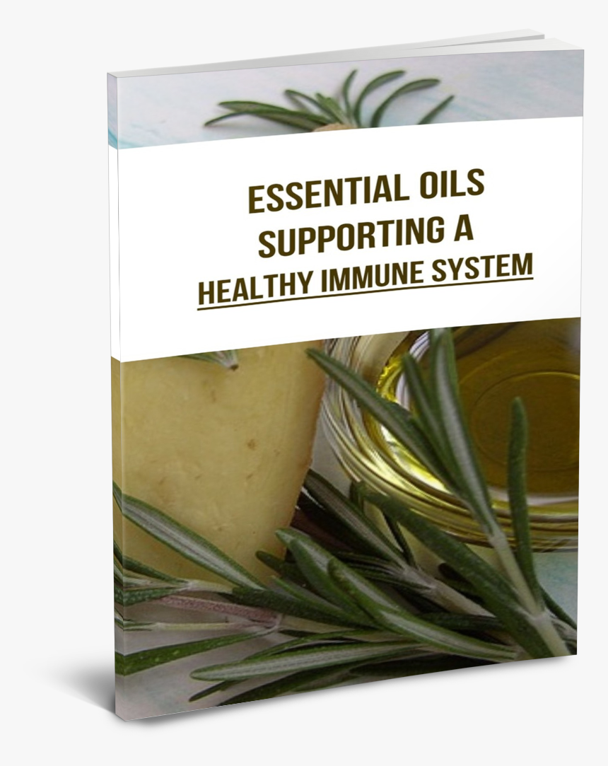 Transparent Immune System Png - Gp, Png Download