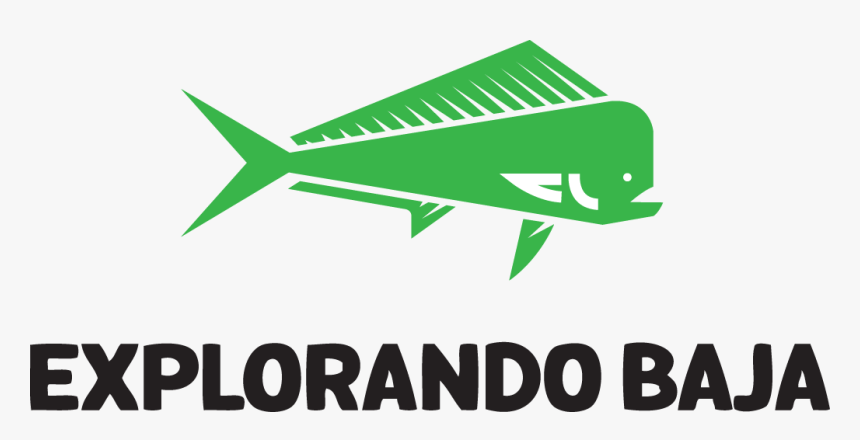 Thumb Image - Fin, HD Png Download