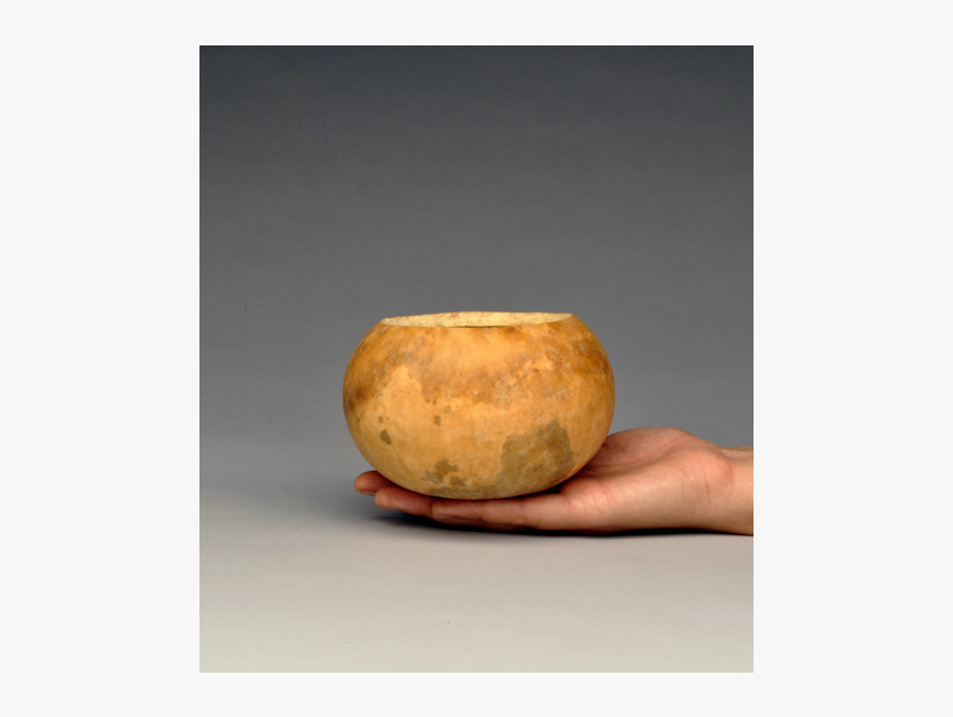 Gourd Bowls, Pre Cut And Craft Ready 
 Class Lazyload - Ceramic, HD Png Download