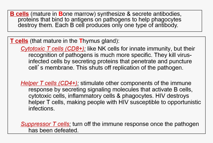 Screenshot, HD Png Download