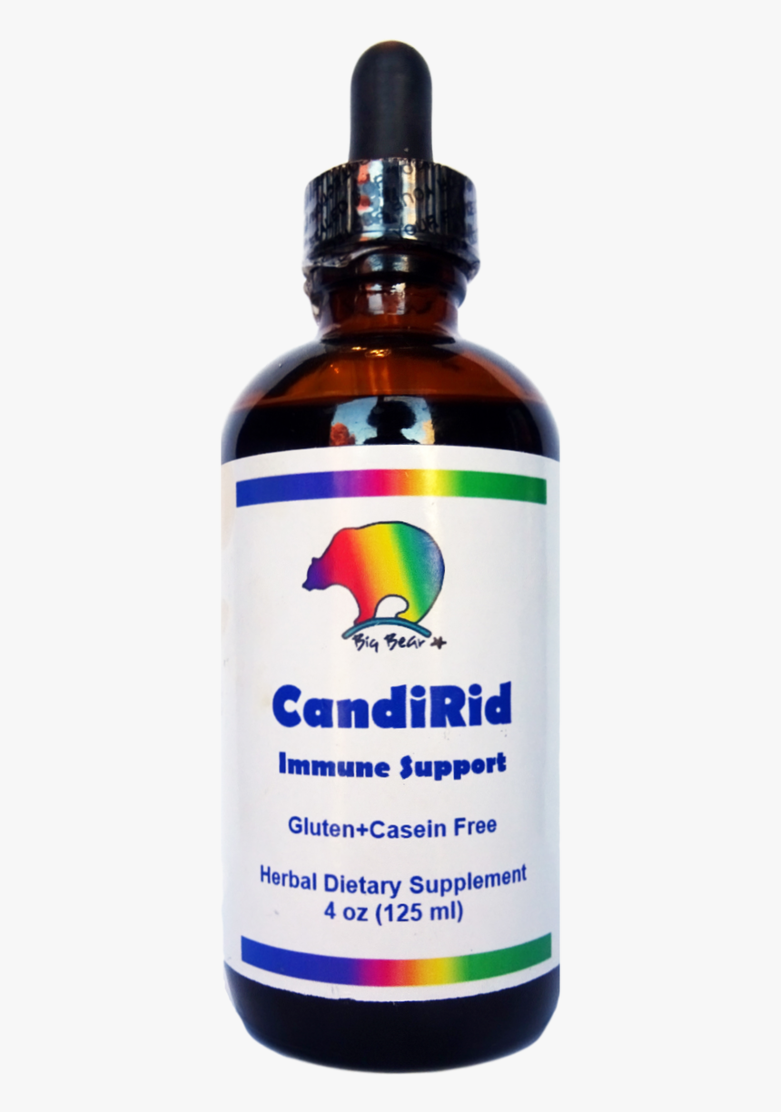 Bear, HD Png Download