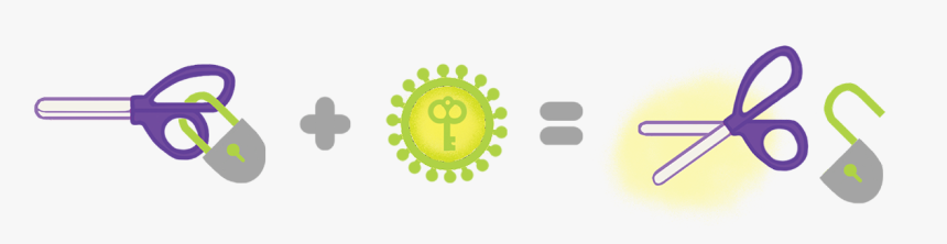 Circle, HD Png Download