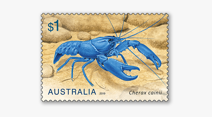 Crayfish Post, HD Png Download