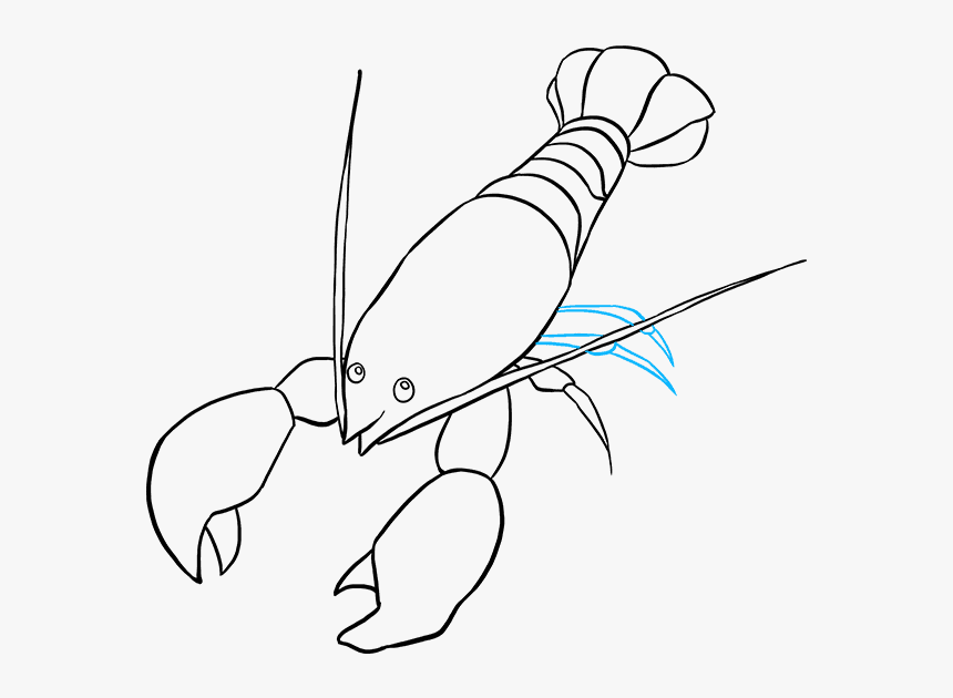 Collection Of Free Drawing - Draw Lobster, HD Png Download