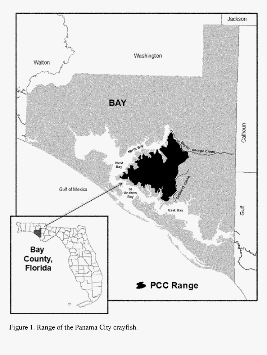 Map, HD Png Download