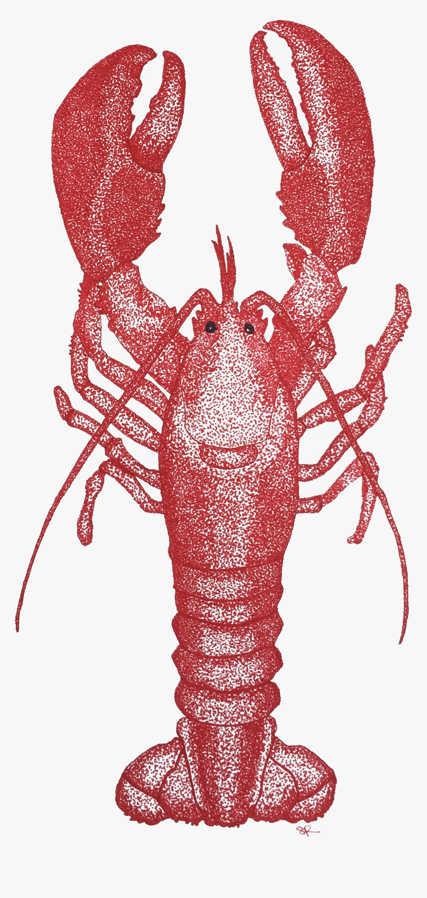 American Lobster, HD Png Download