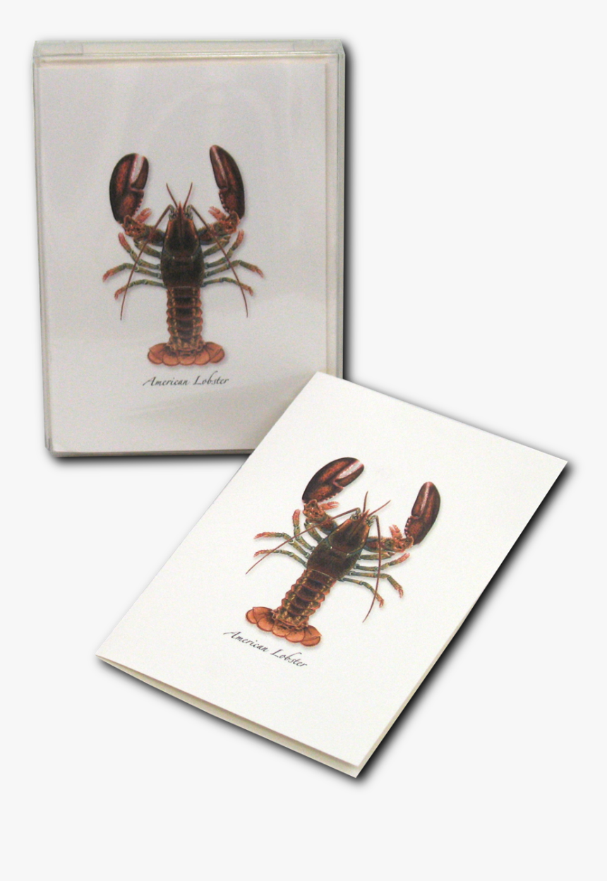 American Lobster, HD Png Download