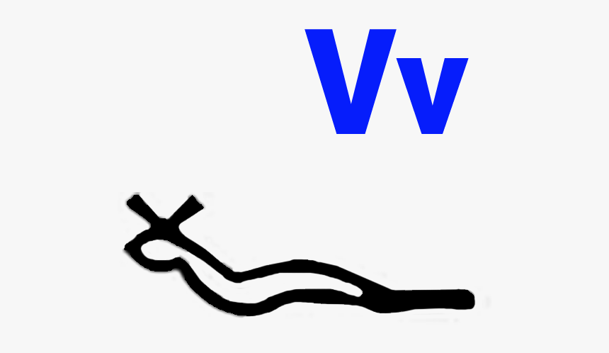 Letter V In Egyptian Hieroglyphics - V In Egyptian Hieroglyphics, HD Png Download
