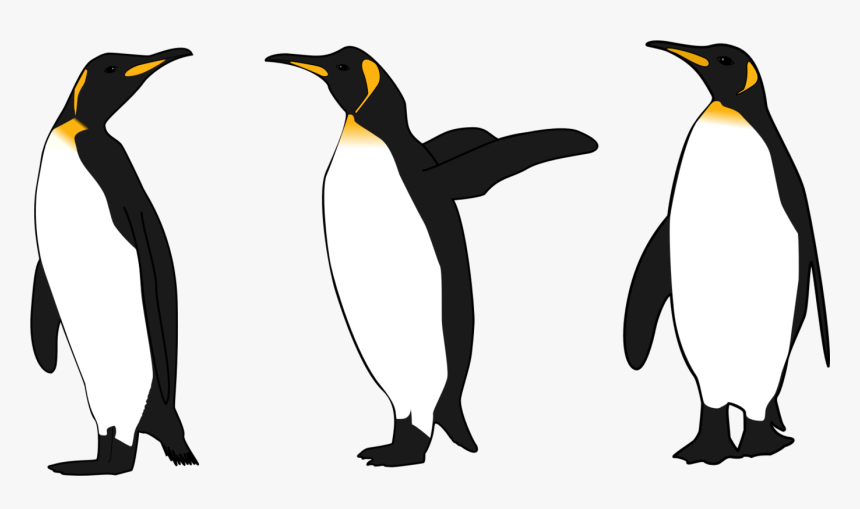 Flightless Bird,king Penguin,wing - King Penguin Clip Art, HD Png Download
