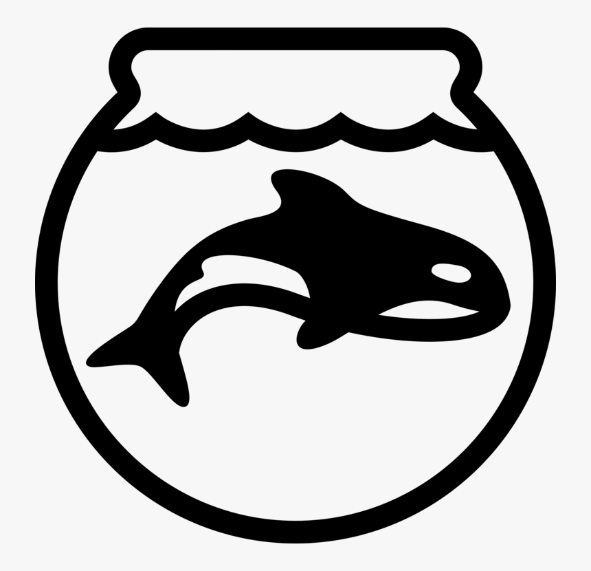 Line Photography - Orca In Captivity Clipart, HD Png Download