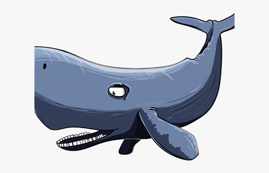 Sperm Whale Clipart Watercolor - Sperm Whale Clipart Hd, HD Png Download
