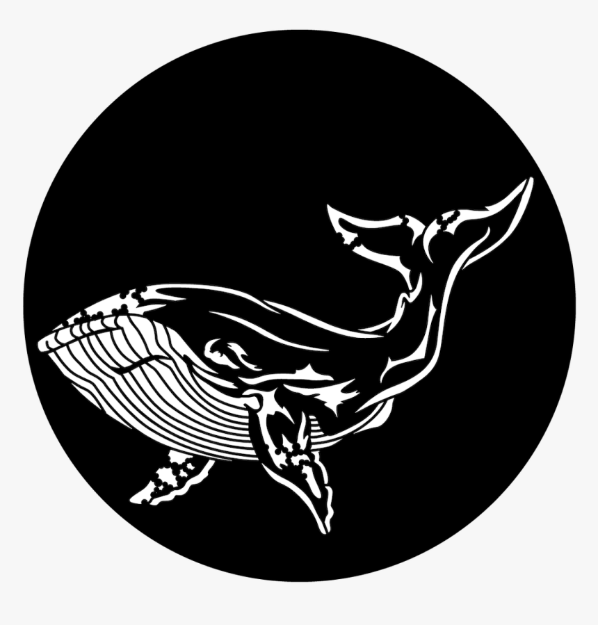 Apollo Sea Whale - Illustration, HD Png Download