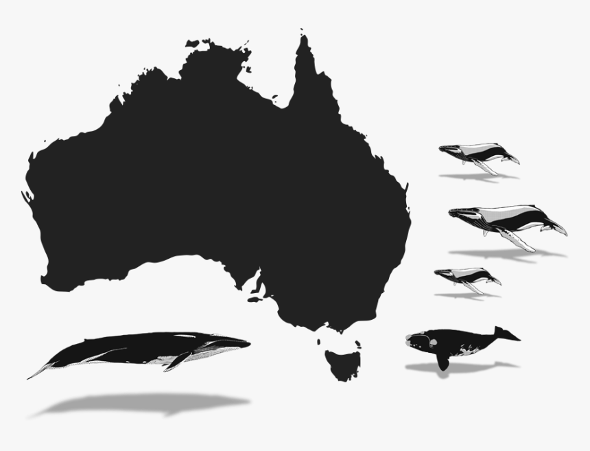 General Information Of Australia, HD Png Download