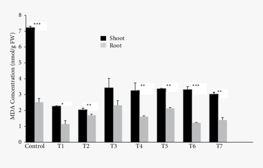 Black Bars Png - City, Transparent Png