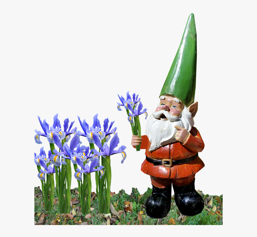 Gnome, Iris, Garden - Crocus, HD Png Download