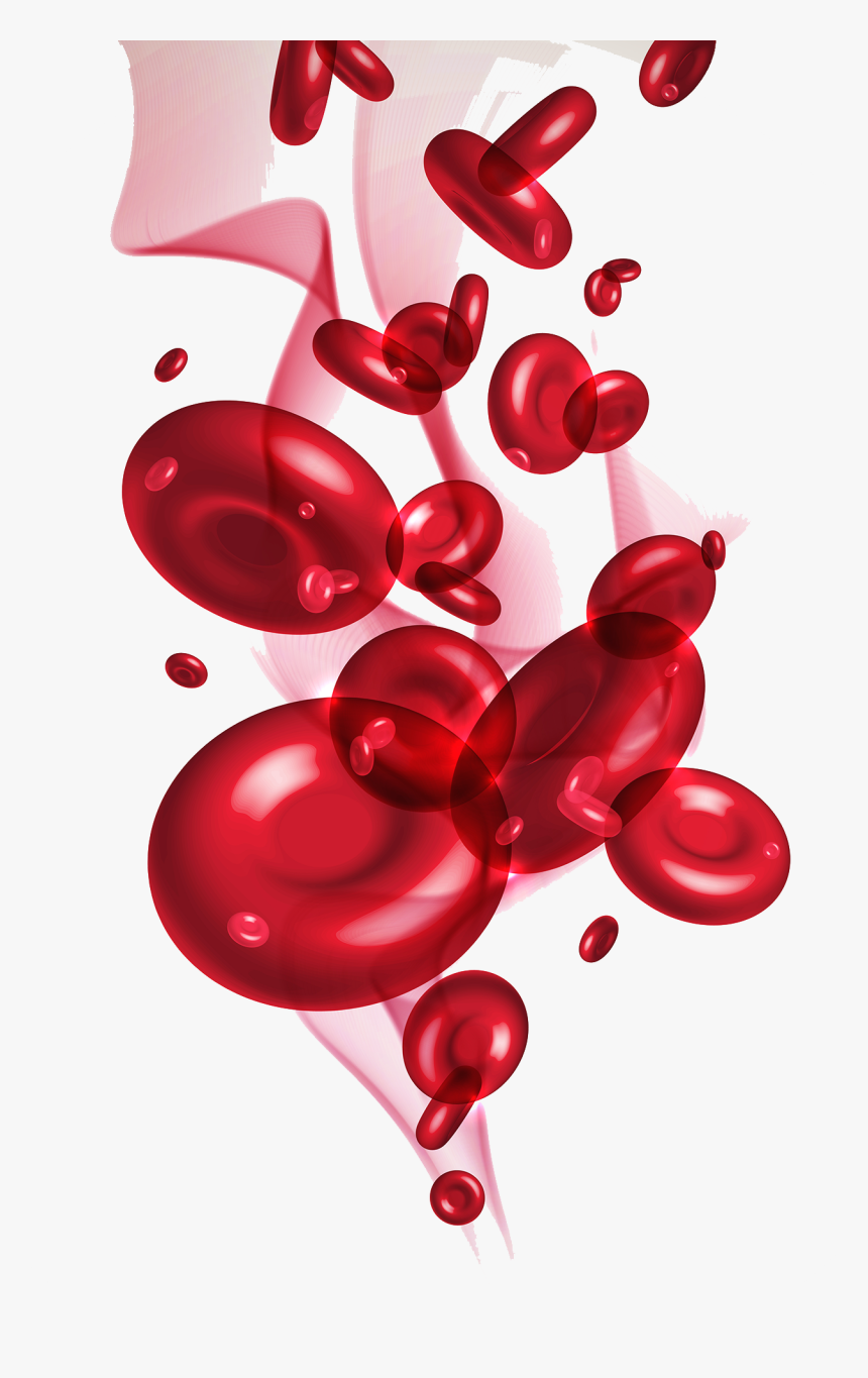 Pool Of Blood Png - Blood Cells Image Png, Transparent Png