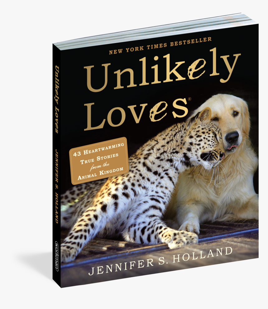 Cover - Unlikely Loves, HD Png Download