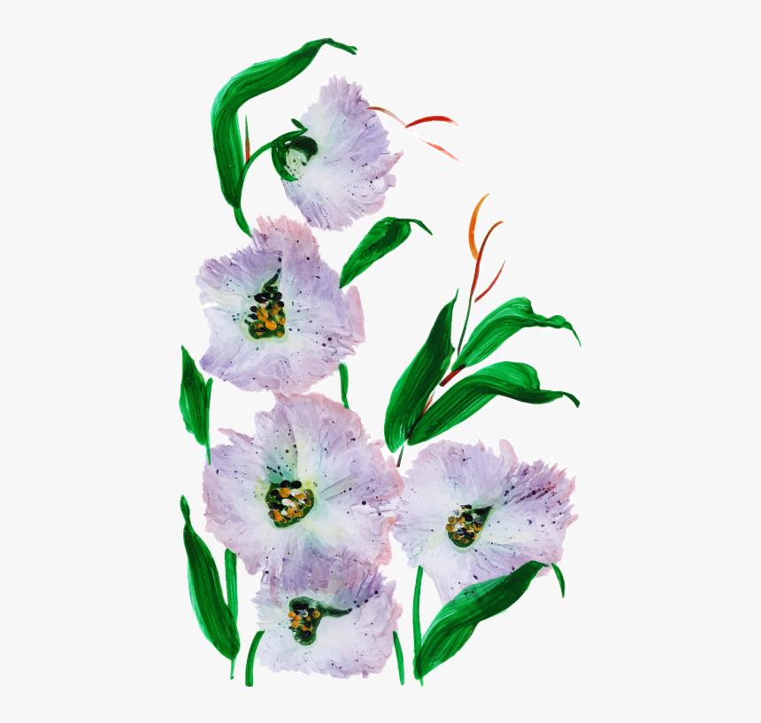 Lily Family, HD Png Download