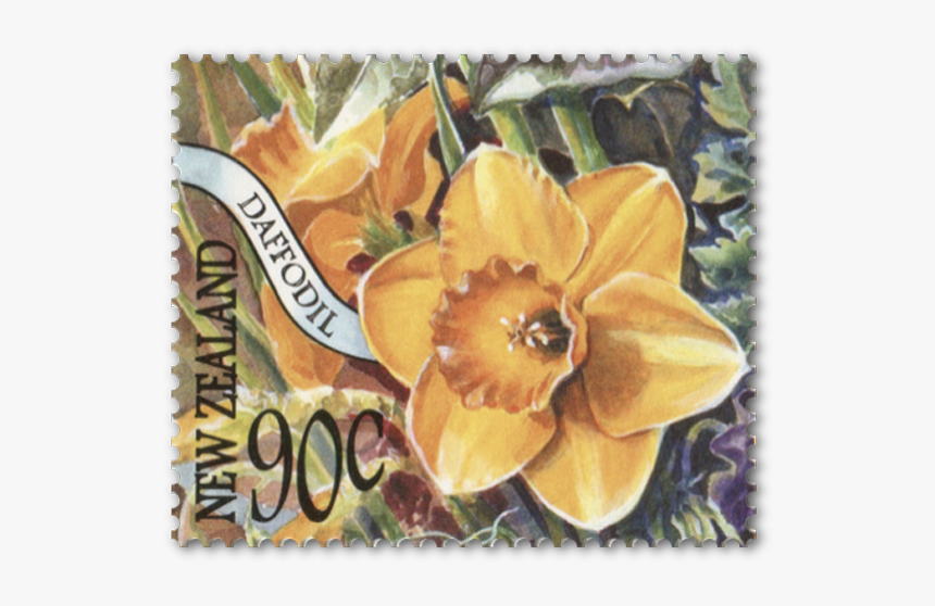 Rhododendron, HD Png Download