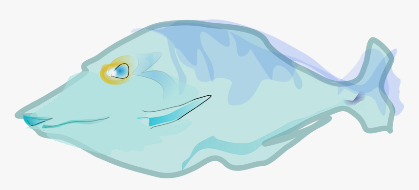Cartilaginous Fish,marine Biology,turquoise - Swimming Fish Animation, HD Png Download