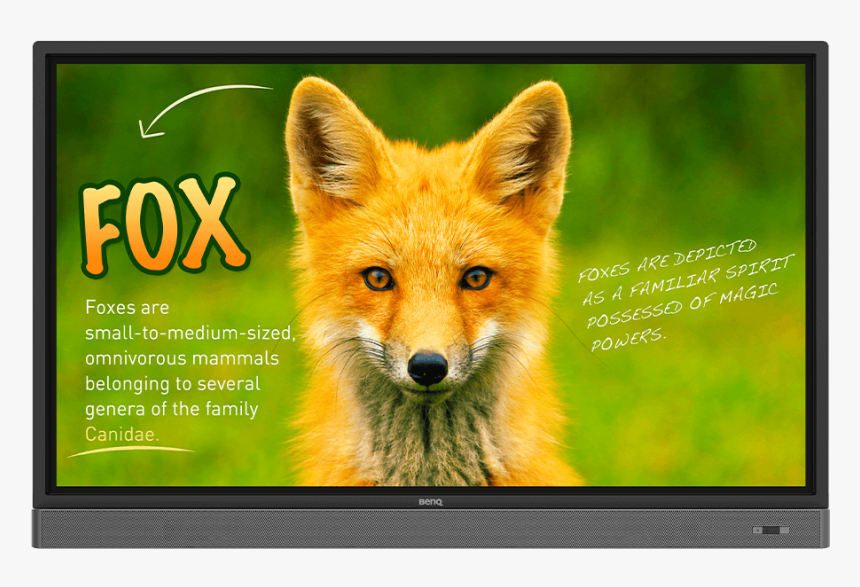 Rp653k Benq Interactive Panel, HD Png Download