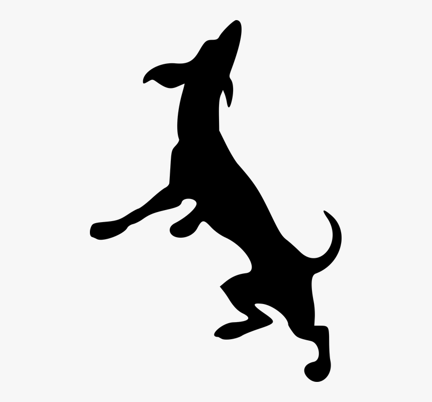 Animal, Canine, Dog, Mammal, Pet, Silhouette - Silhouette Of Horse Rearing, HD Png Download