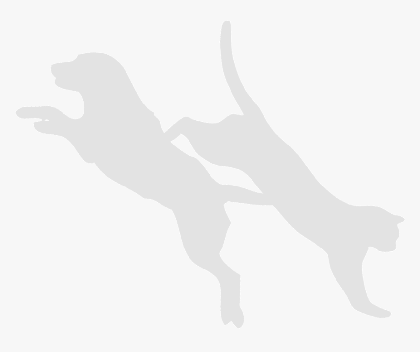 Dog Cat Finger White Mammal - Dog Catches Something, HD Png Download