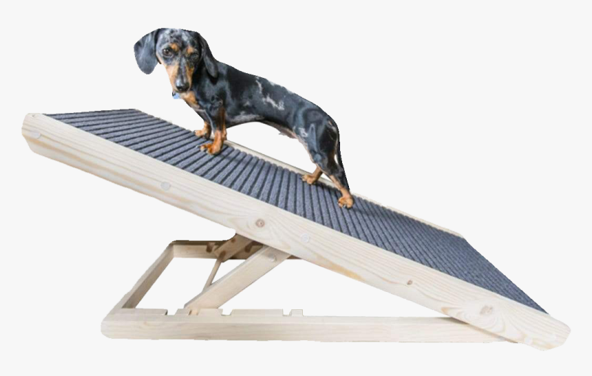 Dachshund Dog Ramp For Bed, HD Png Download