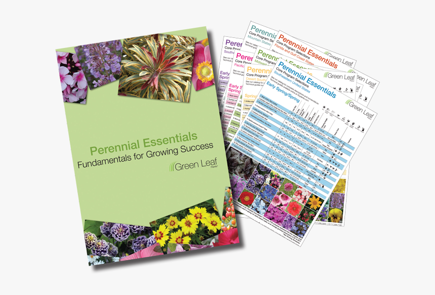 Floral Design, HD Png Download