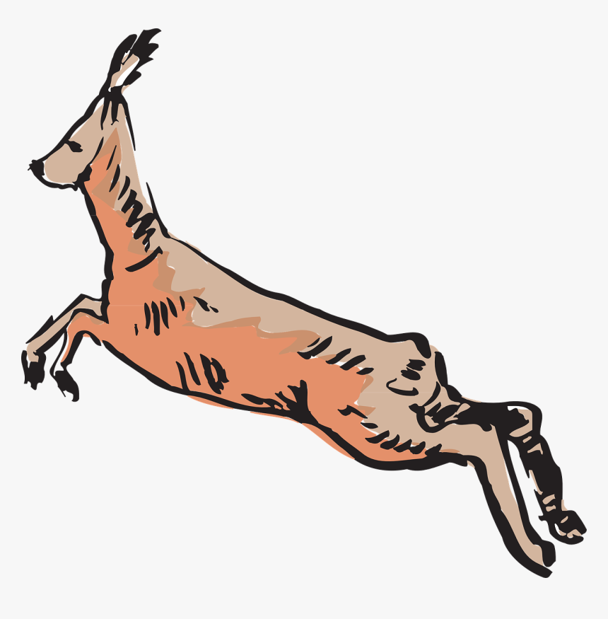 Jumping Cat Png - Antelope, Transparent Png